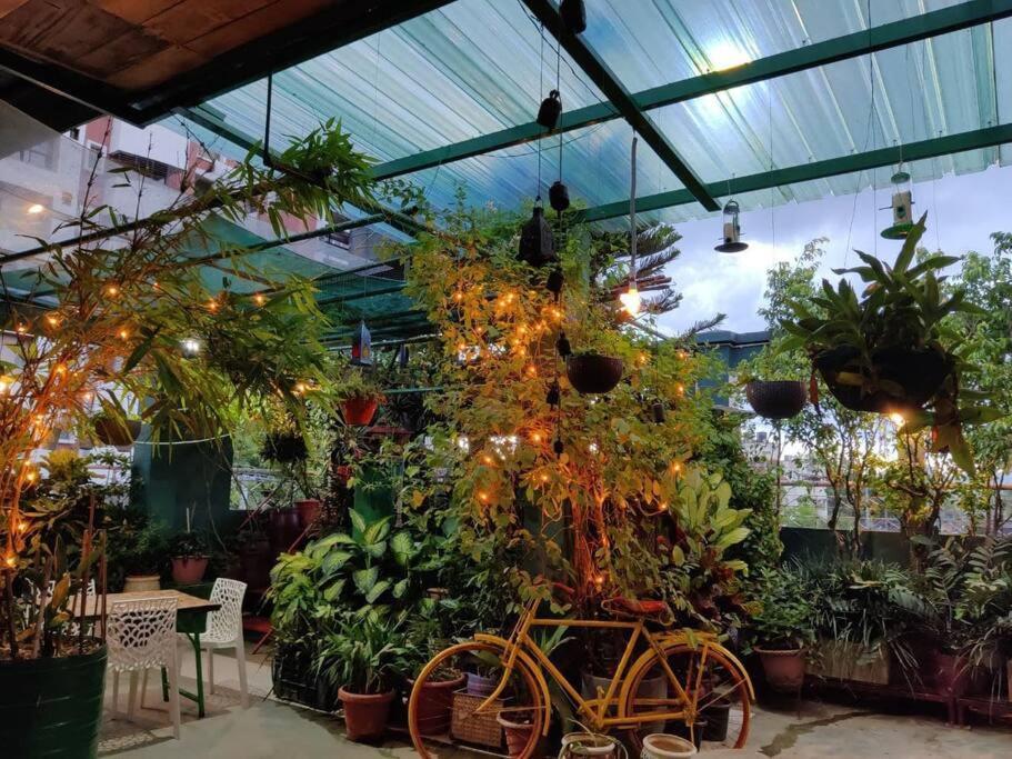 The Nook Rooftop Condo And Garden กูวาฮาติ ภายนอก รูปภาพ